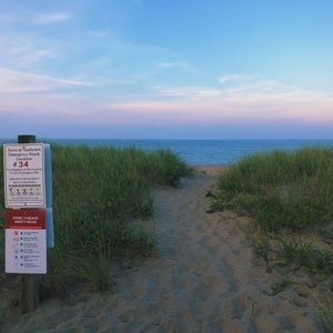 Meet your Posher, Lily